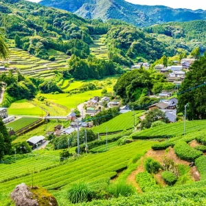 佐賀県嬉野市の住みやすさは？一ノ瀬ワタルが育った街の特徴2