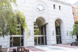 細木大義は日本大学の経済学部を卒業！学部選びの理由とは？